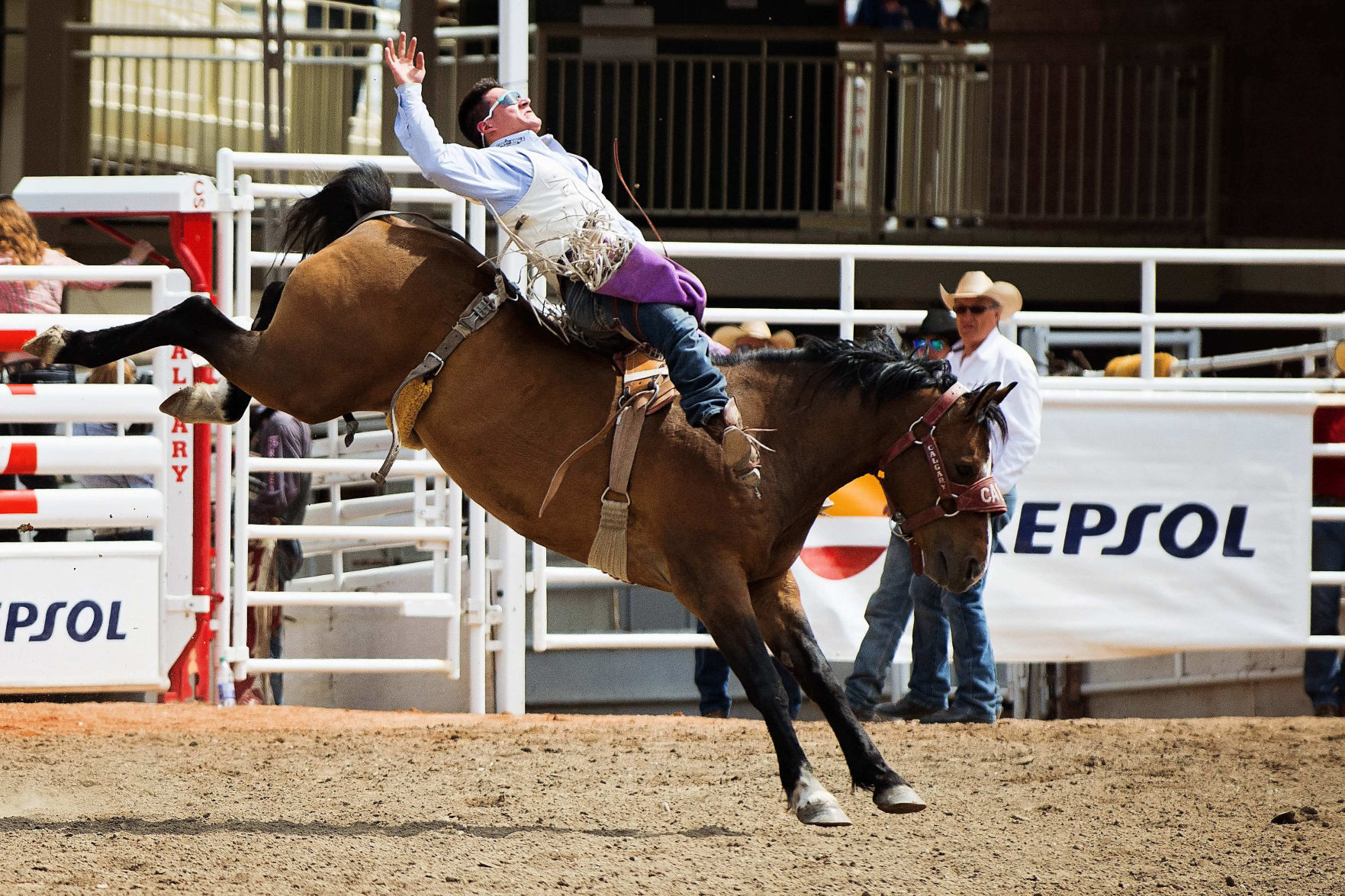 8. Calgary, Alberta